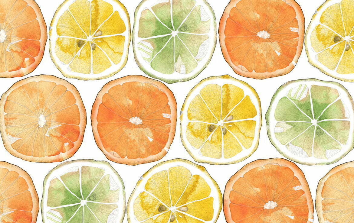 2D Orange Print Food Illustration Thumbnail