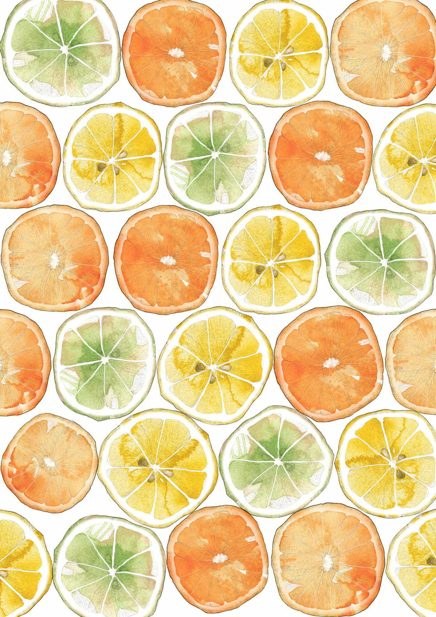 2D Orange Print Food Illustration