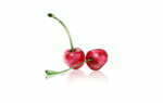2D Stylised Cherries Food Illustration Thumbnail