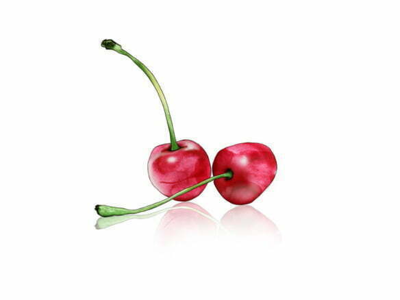 2D Stylised Cherries Food Illustration Thumbnail