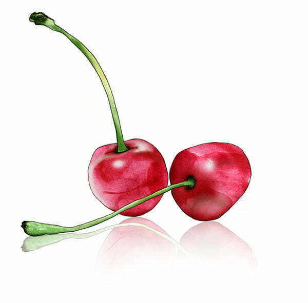 2D Stylised Cherries Food Illustration