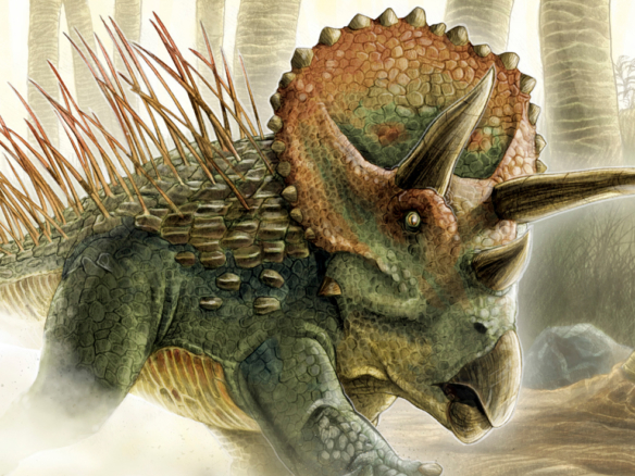 2D Styracosaurus Dinosaur Creature Illustration Thumbnail