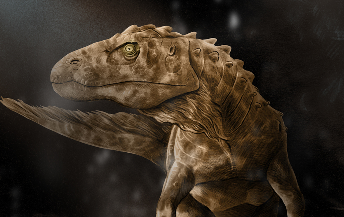 2D Velociraptor Dinosaur Creature Illustration - Illustration Agent