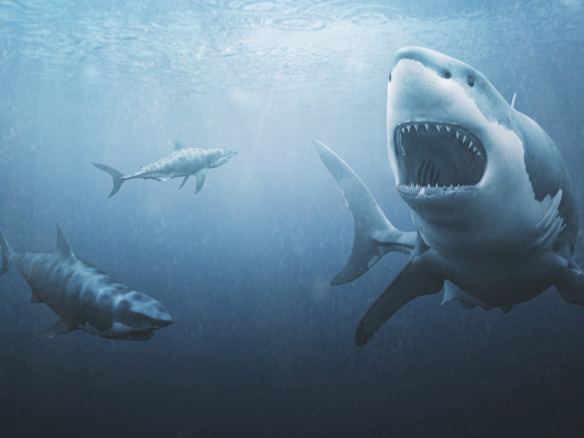 3D Great White Sharks Creature Illustration Thumbnail