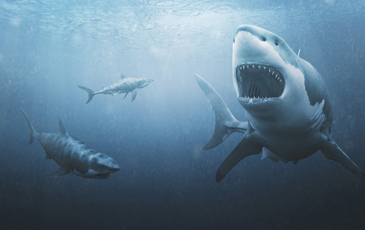 3D Great White Sharks Creature Illustration Thumbnail