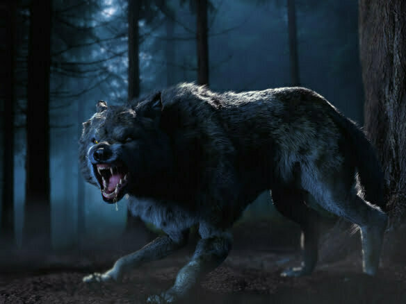 3D Howling Wolf Creature Illustration Thumbnail
