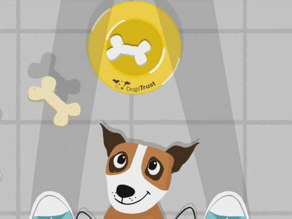 2D animation dogs trust character animated ex-plainer video