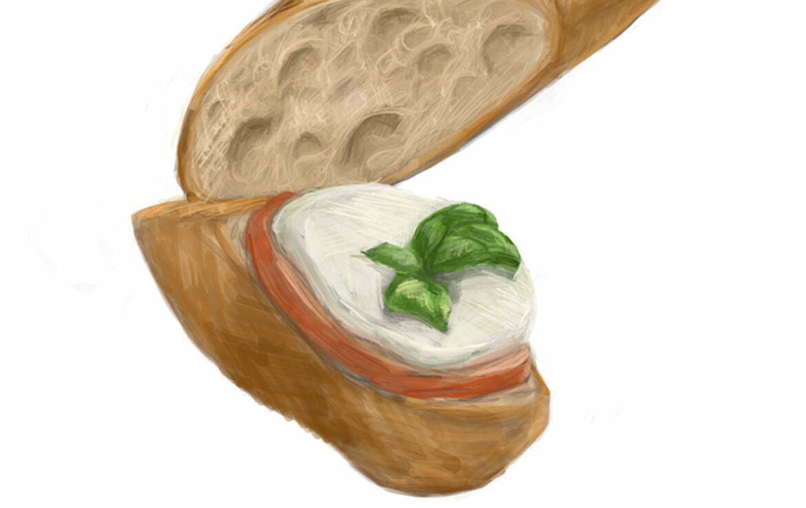 2d french baguette and brie food illustration