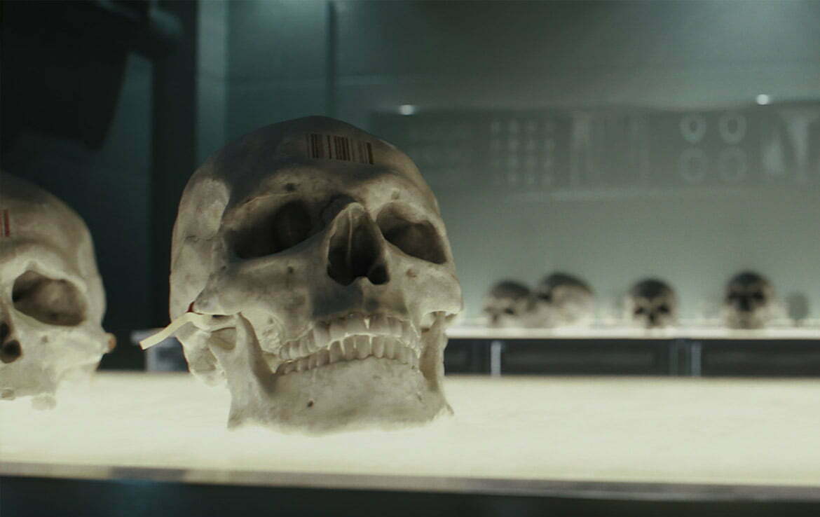 3D Skullls Fantasy Illustration