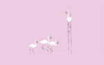2D Illustration Social Distancing Flamingo
