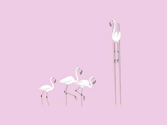 2D Illustration Social Distancing Flamingo