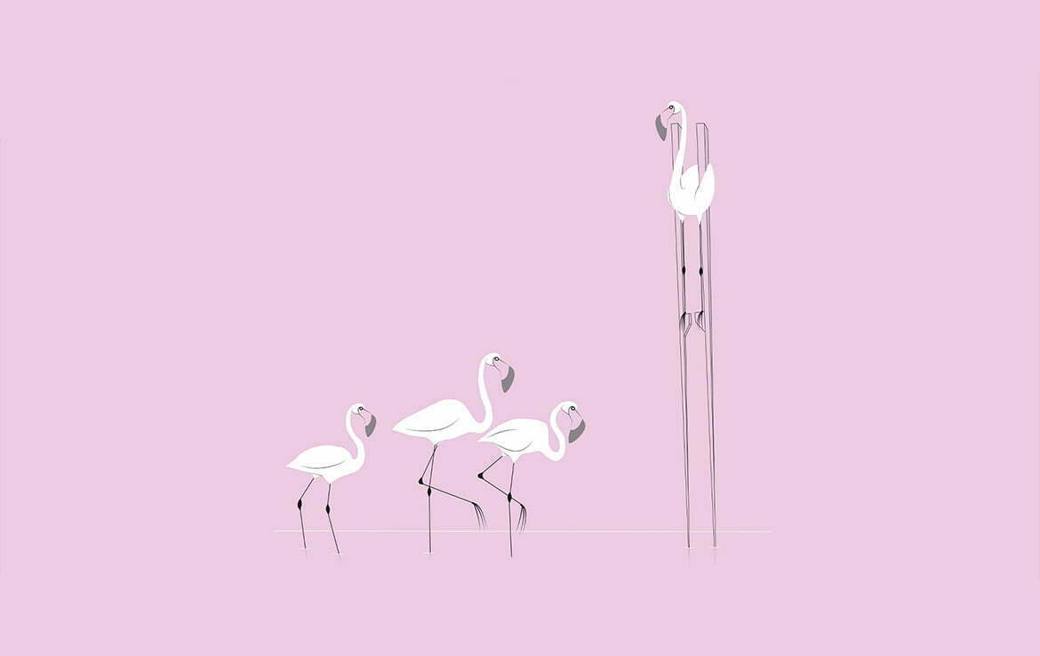 2D Illustration Social Distancing Flamingo