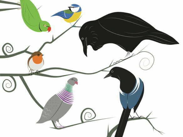 2D Illustration Birds of Hampstead Heath