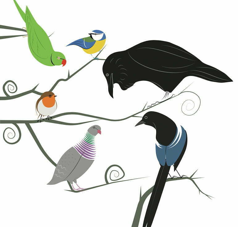 2D Illustration Birds of Hampstead Heath