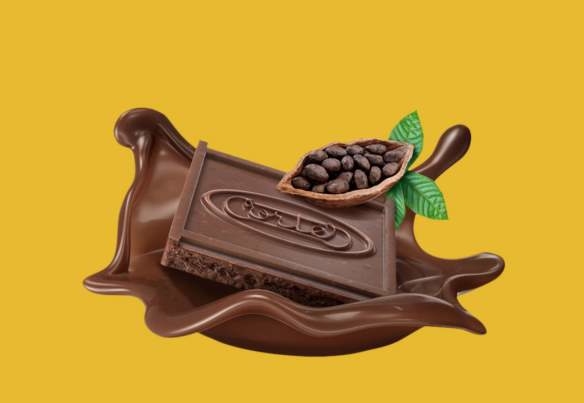 chocolate biscuit illustration