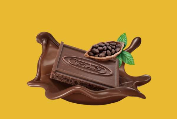 chocolate biscuit illustration